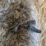 gilet fausse fourrure 2 3 ans