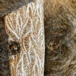 gilet fausse fourrure 2 3 ans