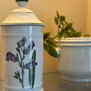Pot pharmacie porcelaine de Limoges la tisaniere decor