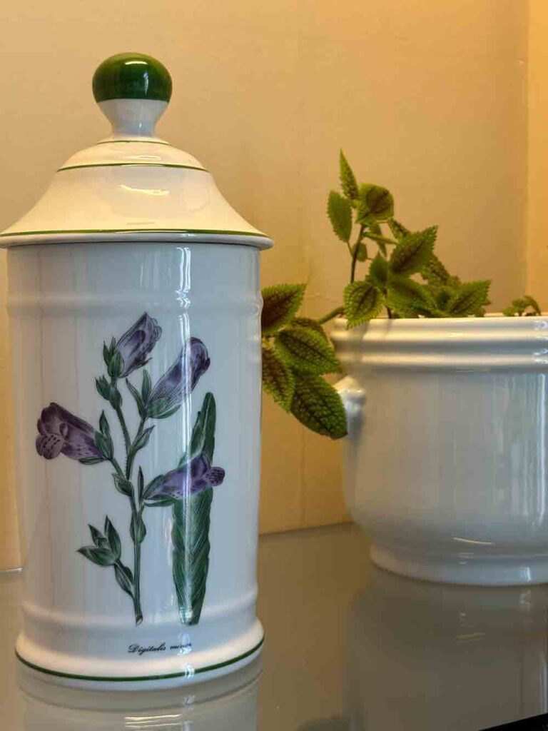 Pot pharmacie porcelaine de Limoges la tisaniere decor
