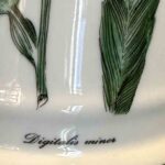 Pot pharmacie porcelaine de Limoges la tisaniere decor