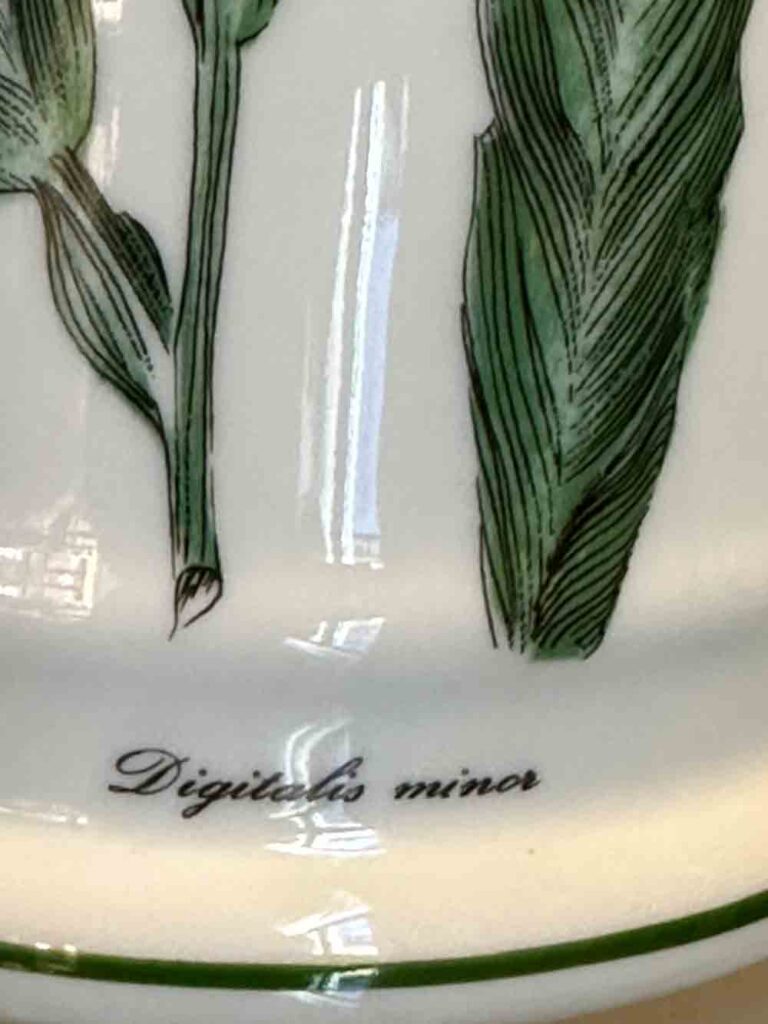 Pot pharmacie porcelaine de Limoges la tisaniere decor