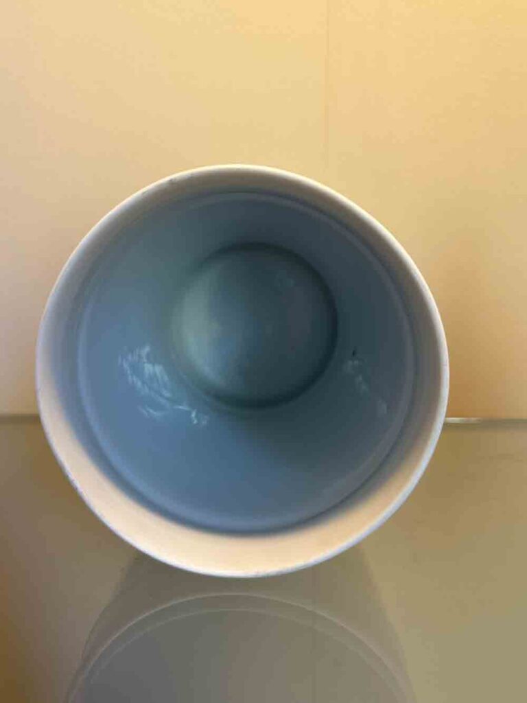 Pot pharmacie porcelaine de Limoges la tisaniere decor