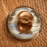 Service Thé Porcelaine Japonaise Kutani Vintage