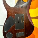 guitare électrique Ibanez Iron Label