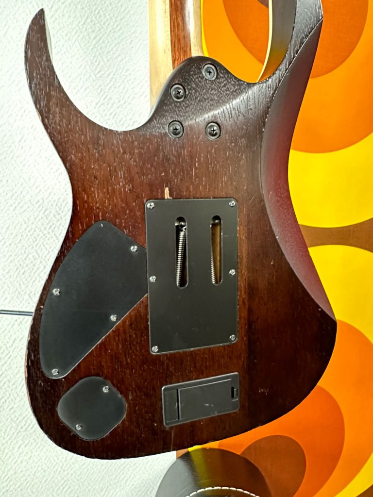 guitare électrique Ibanez Iron Label