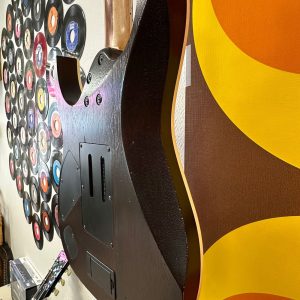 guitare électrique Ibanez Iron Label