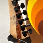 guitare électrique Ibanez Iron Label