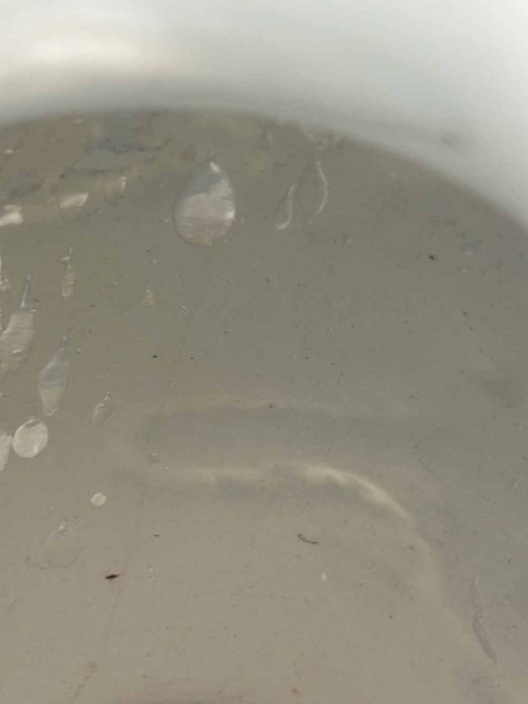 grand vase chinois porcelaine brocante