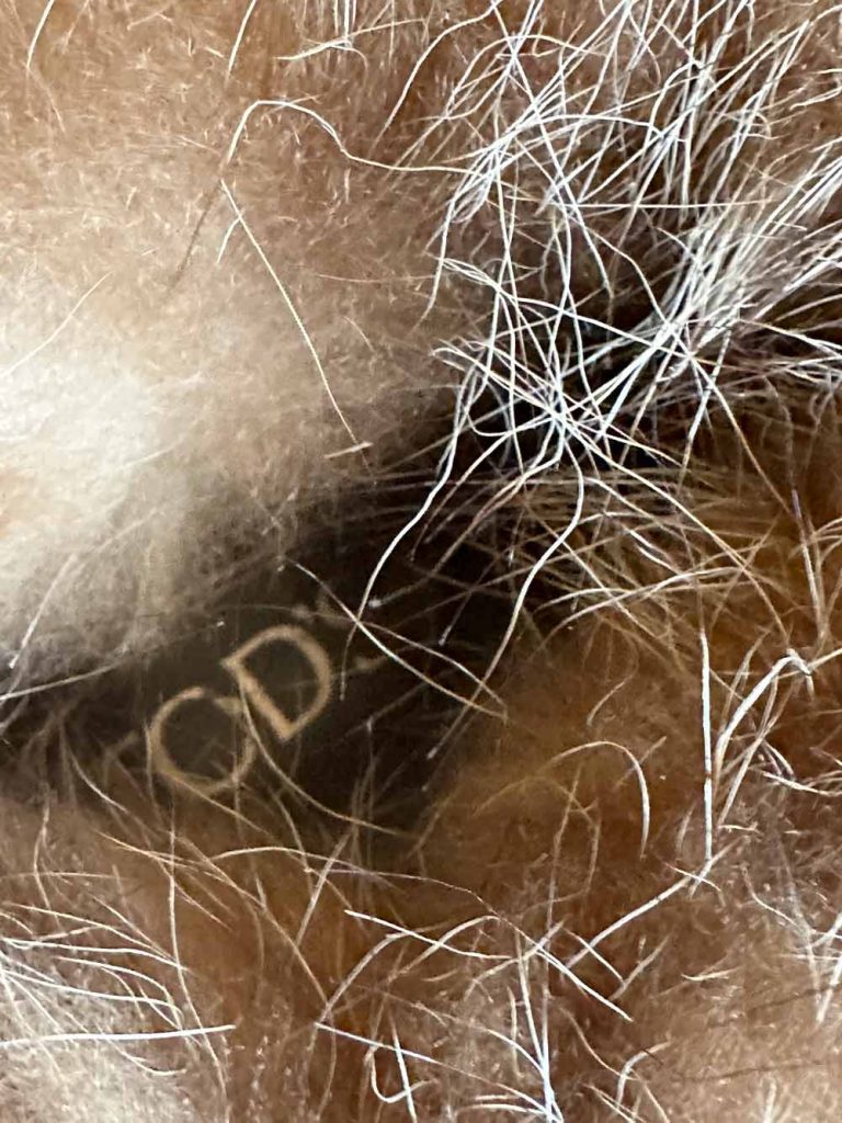 Boots daim et fourrure Tod’s seconde main