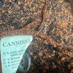 manteau laine mohair alpaga Cannisse friperie en ligne