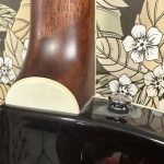 demi-caisse coréenne Crafter,look jazz/archtop